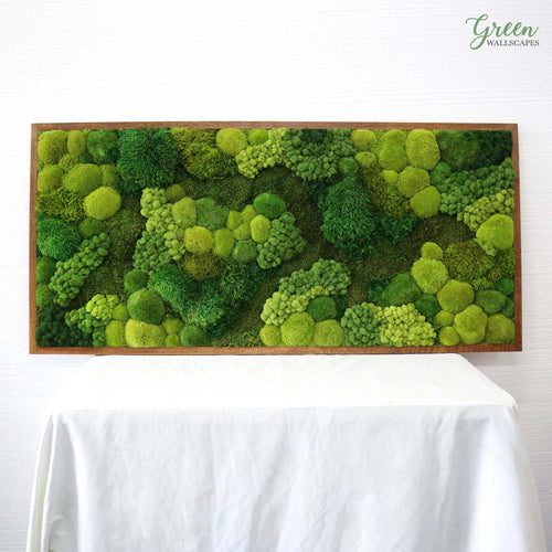 Custom Moss Wall Art | Framed Moss Art | Moss Art | Custom Art