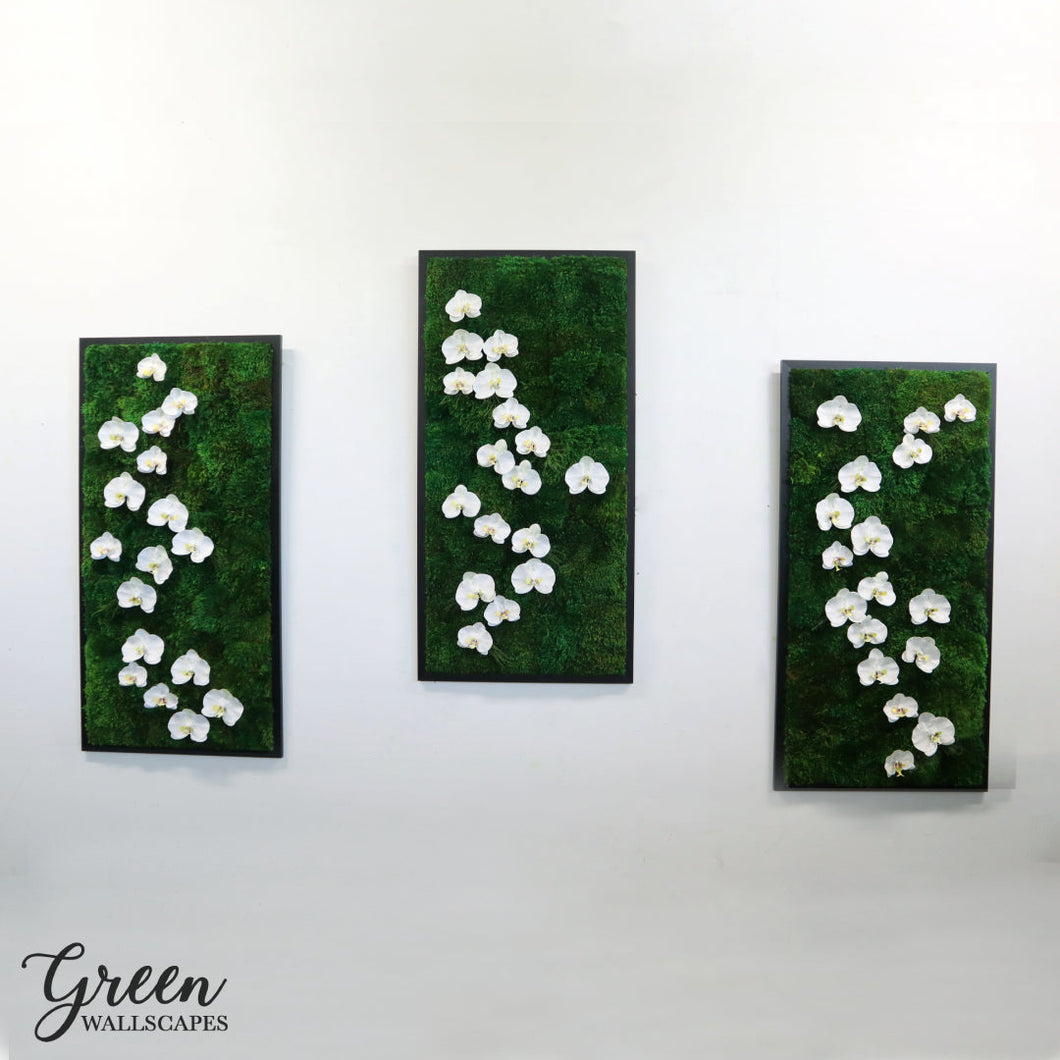 Moss and Orchids Wall Art