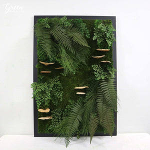 Moss and Fern Plant Painting | Botanica Moss Art