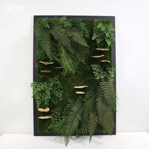 Custom Botanica Wall Art | Moss and Ferns Art | Botanica Moss Art