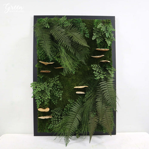 Botanica Framed Wall Art - Preserved Ferns and Moss