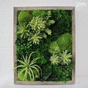 Mini Classic Amazonia Plant Painting | Moss and Succulent Art