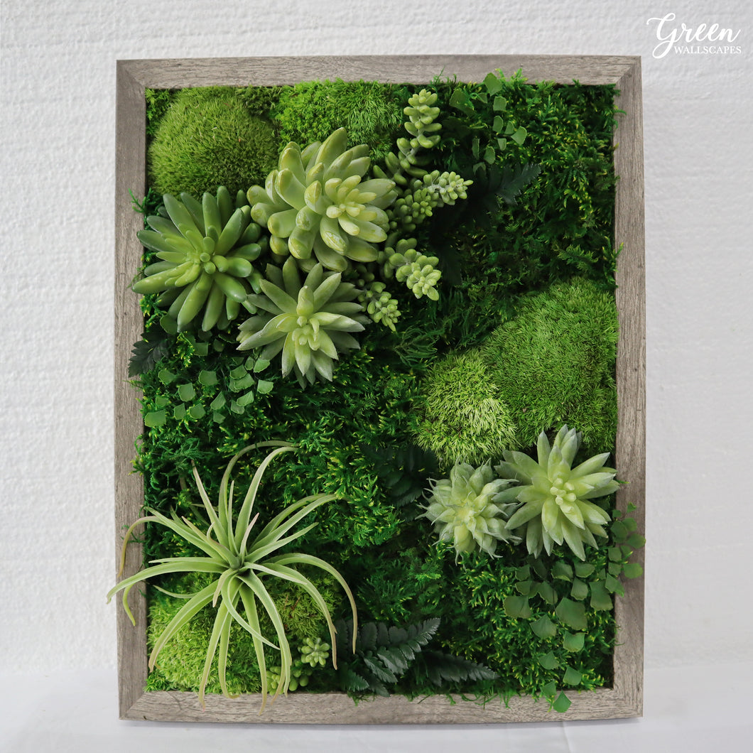 Mini Classic Amazonia Plant Painting | Moss and Succulent Art