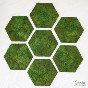 Custom Mixed Moss Hexagons