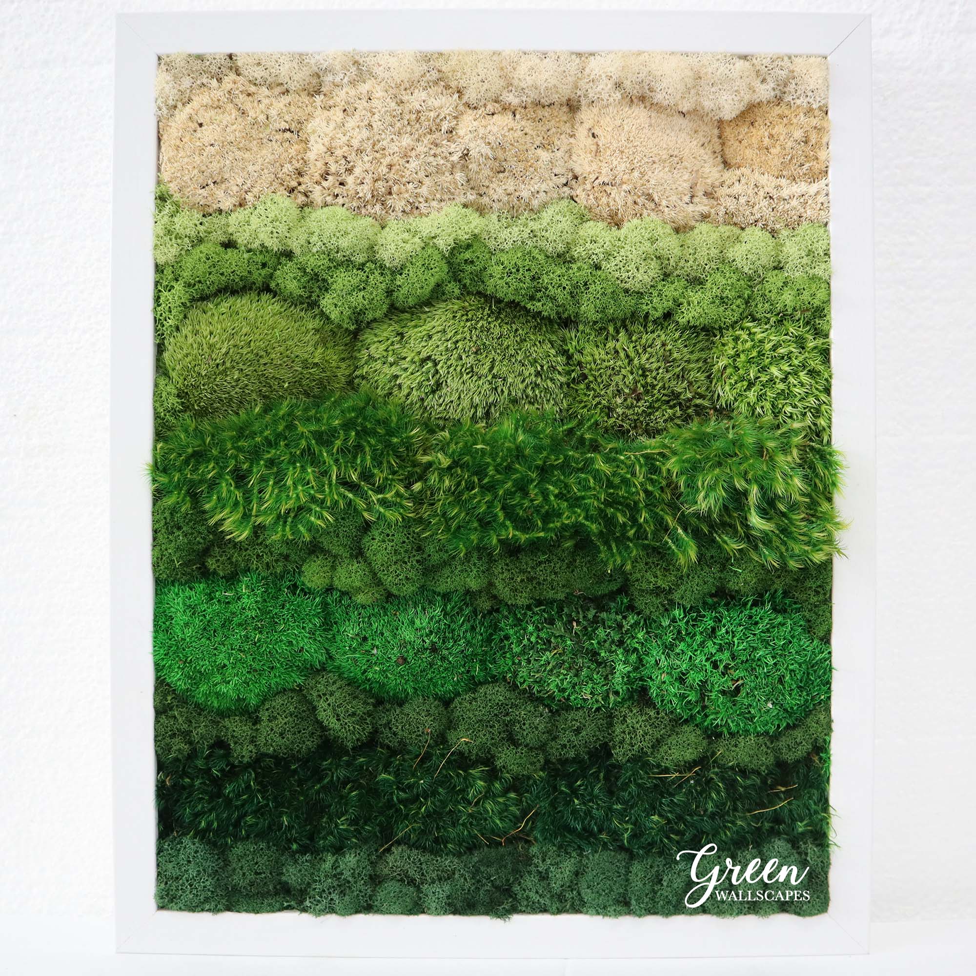 Origin Series Wall Art  Moss Wall Art – Green Wallscapes