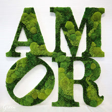 AMOR Moss Lettering | Moss Lettering | Amor Lettering | Preserved Moss Art