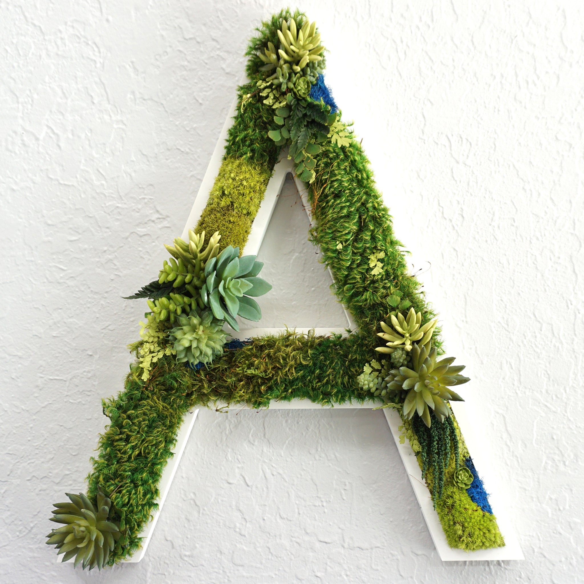 Moss Lettering Custom Succulent Wall Art | Moss Lettering Decor | No Maintenance