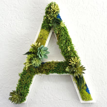 CREATE - Succulent and Moss Lettering