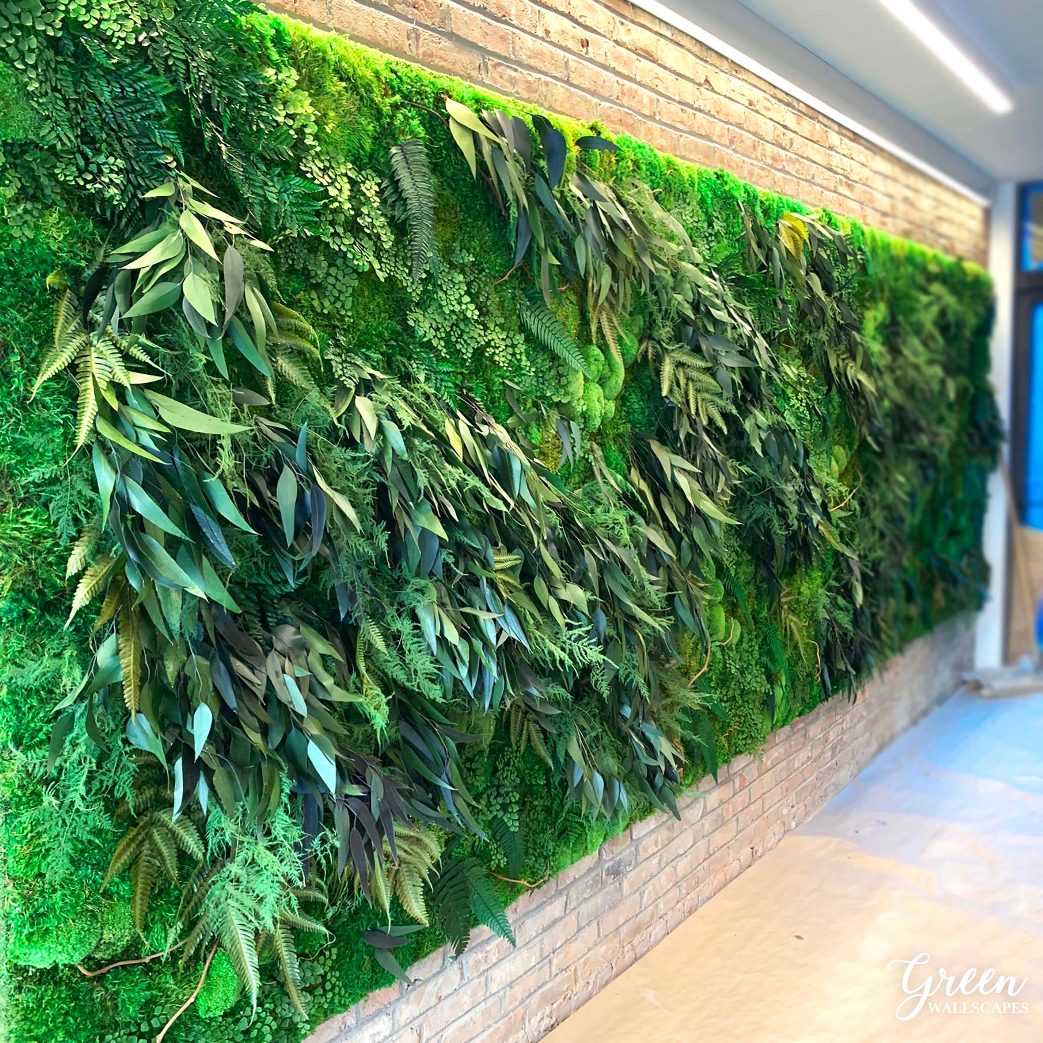 Faux Moss Wall with Ferns - Terrain