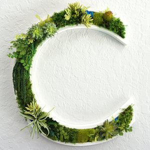 CREATE - Succulent and Moss Lettering