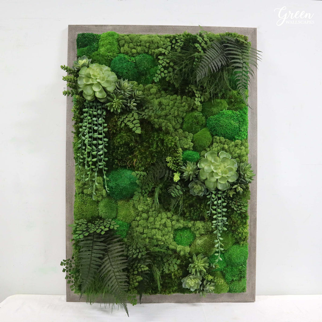 Classic Green Amazonia Plant Painting | Moss and Succulent Framed Art