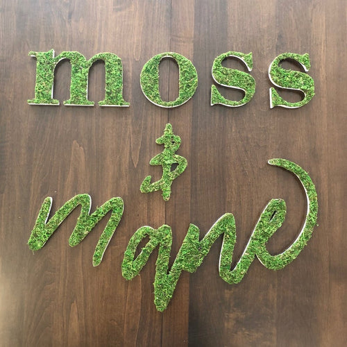 Custom Sheet Moss Lettering | Moss Lettering | Preserved Moss Lettering