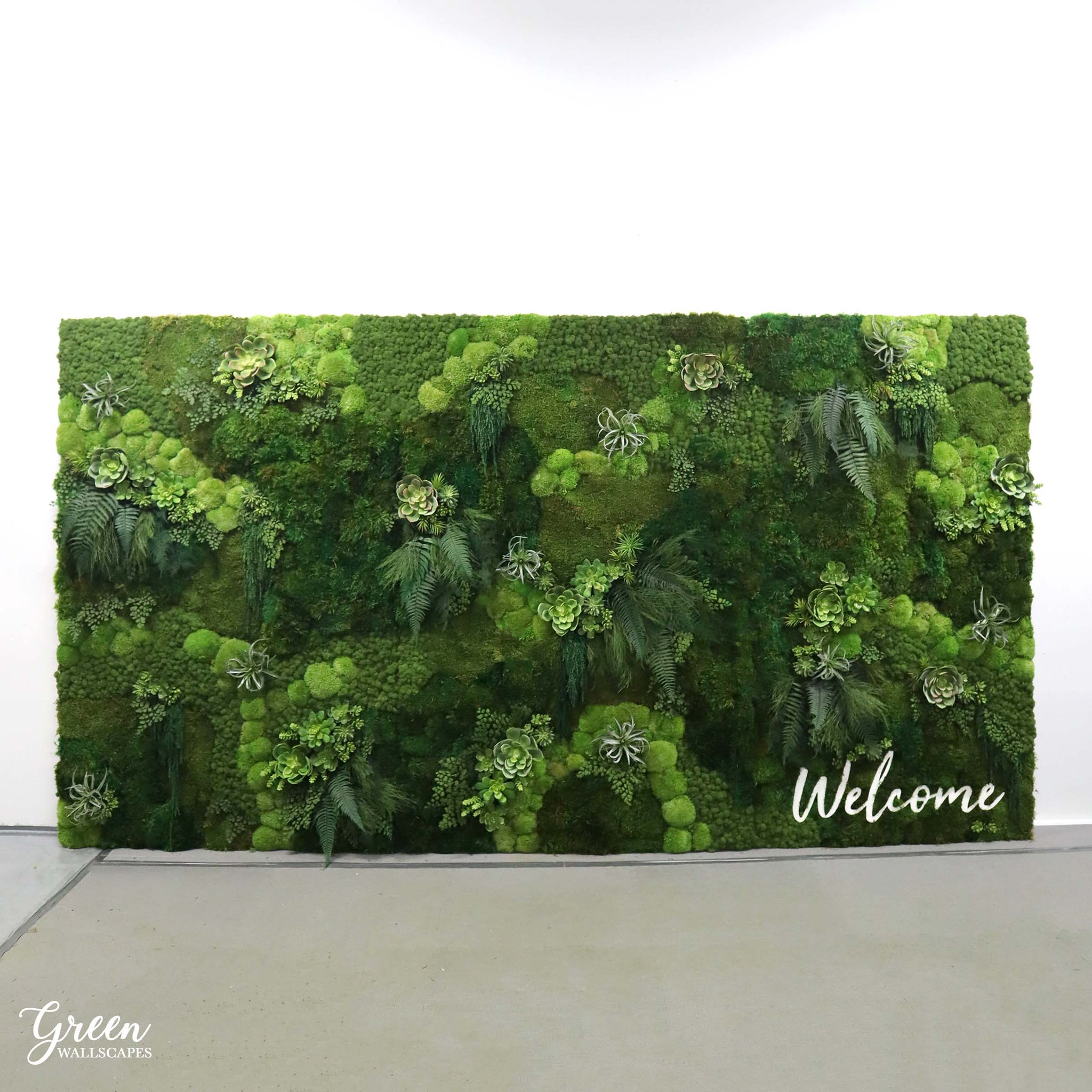 amazonia succulent Amazonia Collection - Succulent & Moss Wall - Green Wallscapes Custom 2 - Call For Pricing