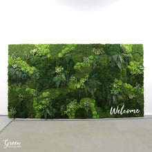 Amazonia Moss and Succulent Wall | Succulent and Moss Wall | Moss Wall | Green Wall