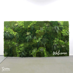 succulent green wall Amazonia Moss and Succulent Wall | Succulent and Moss Wall | Moss Wall