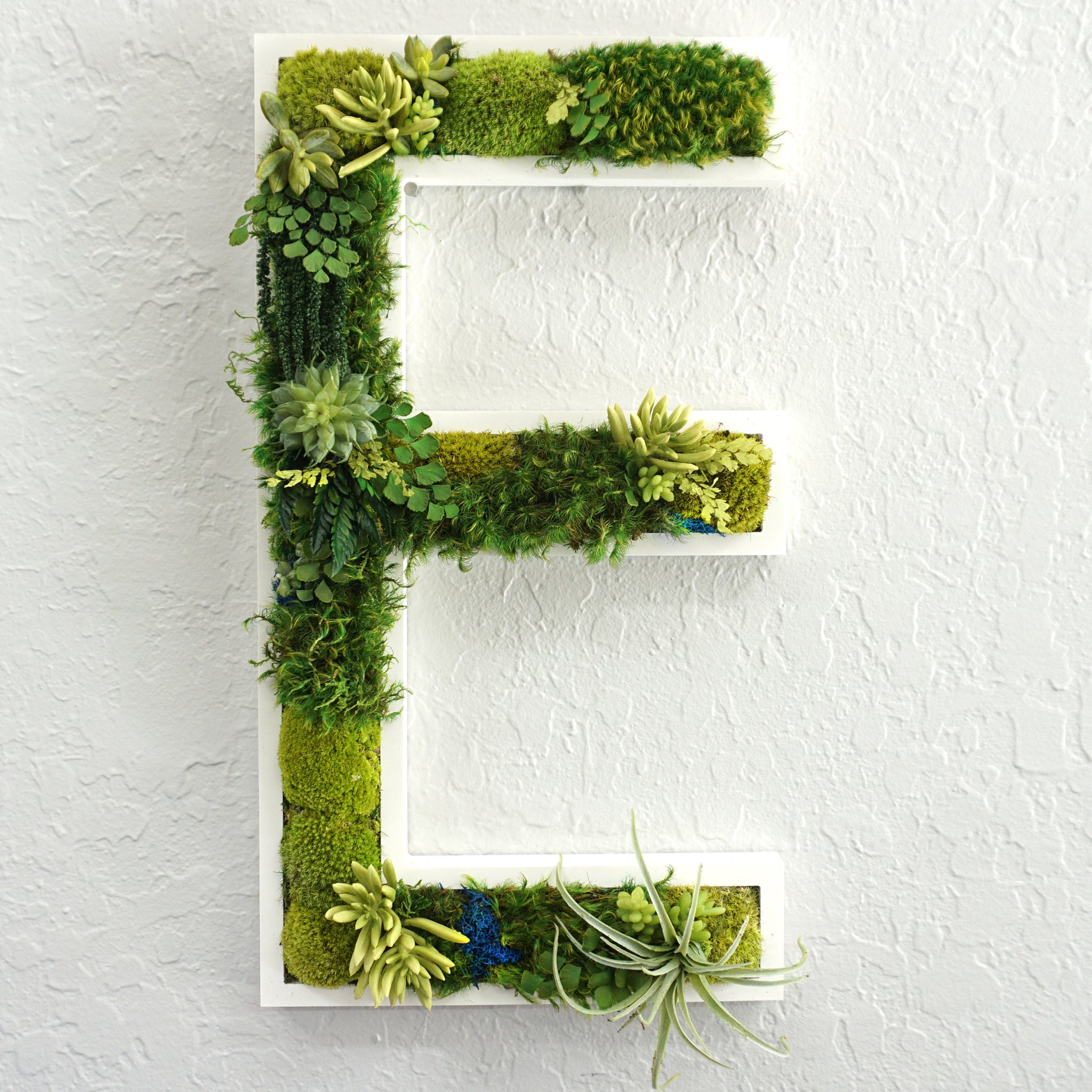 amazonia succulent Amazonia Succulent and Moss Lettering | Succulent and Moss Lettering