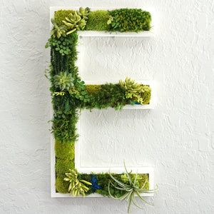 Amazonia Succulent and Moss Lettering | Succulent and Moss Lettering | Succulent Wall Art