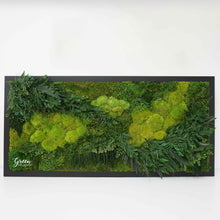 Preserved moss and fern art in a black frame