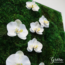 Orchids and Moss Framed Art | Moss Art | Plant Art | Framed Moss Art
