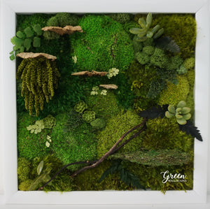 Framed Moss Art For Your Home | Moss Art | Framed Art | Preserved Moss Art | Preserved Moss | Custom Moss Art