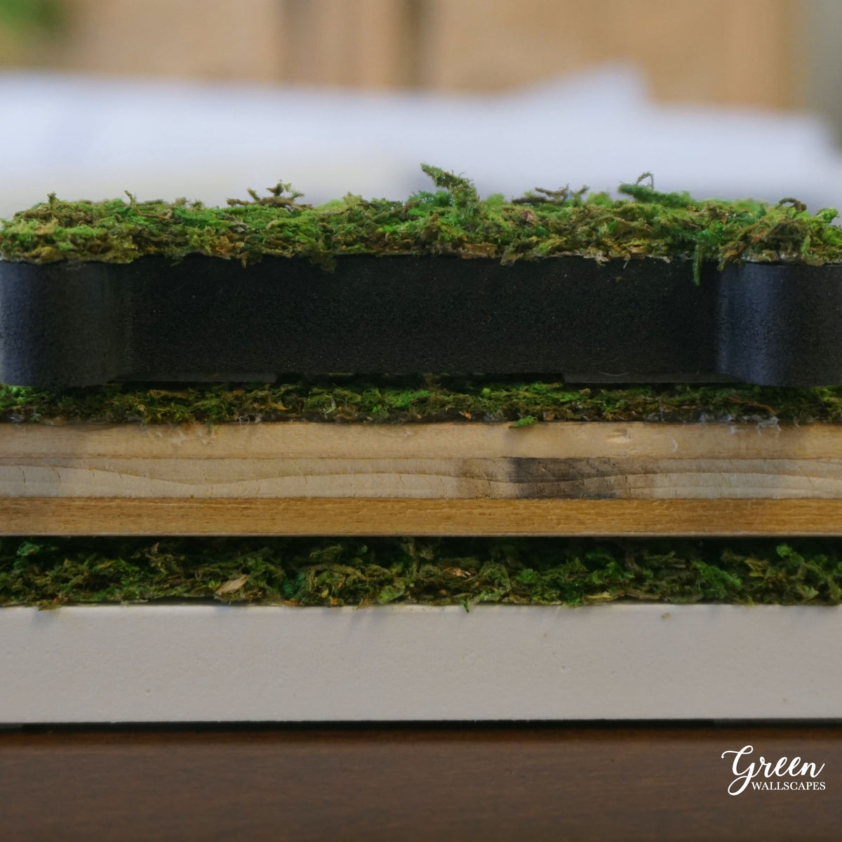 Moss Lettering Custom Sheet Moss Lettering - Nature's Art for Your Space