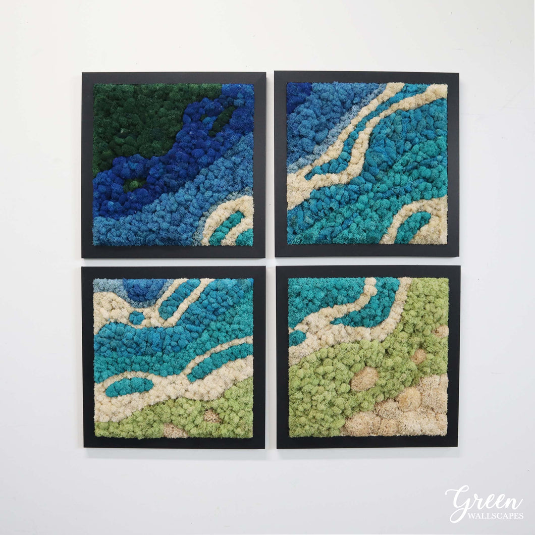 Aquatica Moss Art Frames