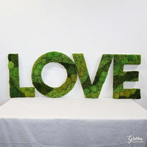 LOVE Moss Lettering - Mixed Moss