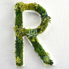 Amazonia Succulent and Moss Lettering | Succulent and Moss Lettering | Succulent Wall Art