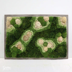 Organic Moss Design Plant Painting | White Moss Art | Organic Design