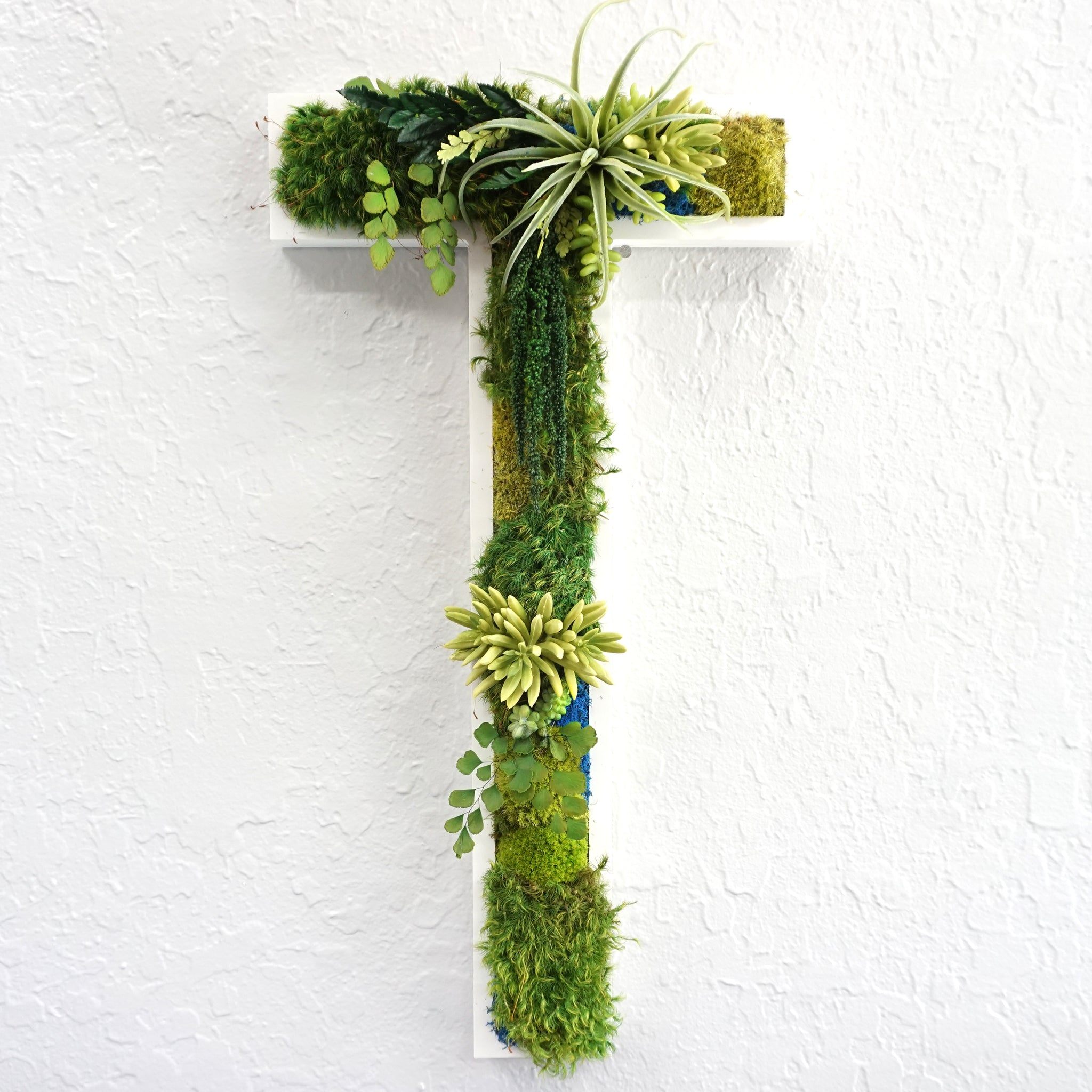 amazonia succulent Amazonia Succulent and Moss Lettering | Succulent and Moss Lettering