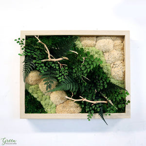 Mini Moss and Fern Plant Painting
